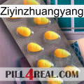 Ziyinzhuangyang cialis1